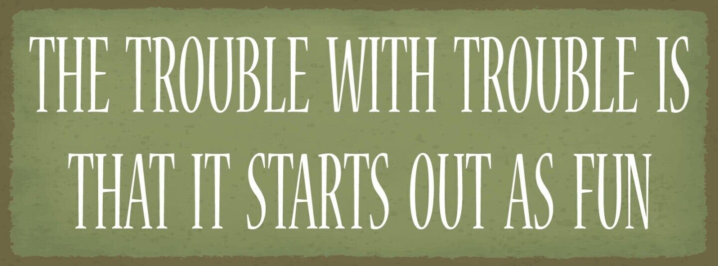 Schild the trouble with trouble is that it starts out as fun 27x10 blech od.holz