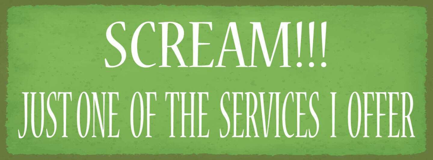 Schild scream! just one of the services i offer schreien 27x10 blech od.holz