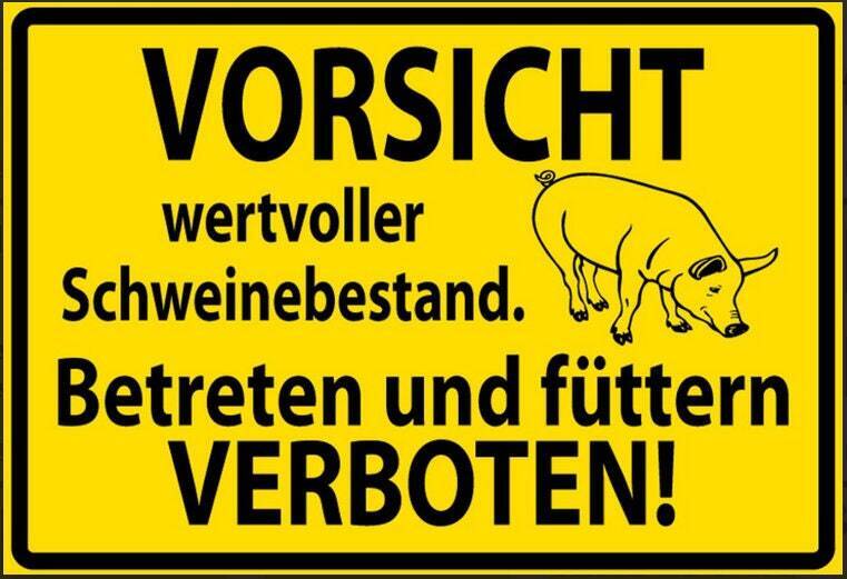 Vorsicht wertvoller schweinebestand betreten und füttern verboten 20x30