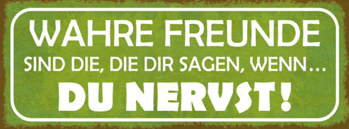 Schild Wahre Freunde Sind Die Die Dir Sagen Wenn Du Nervst 27x10 Blech od.Holz
