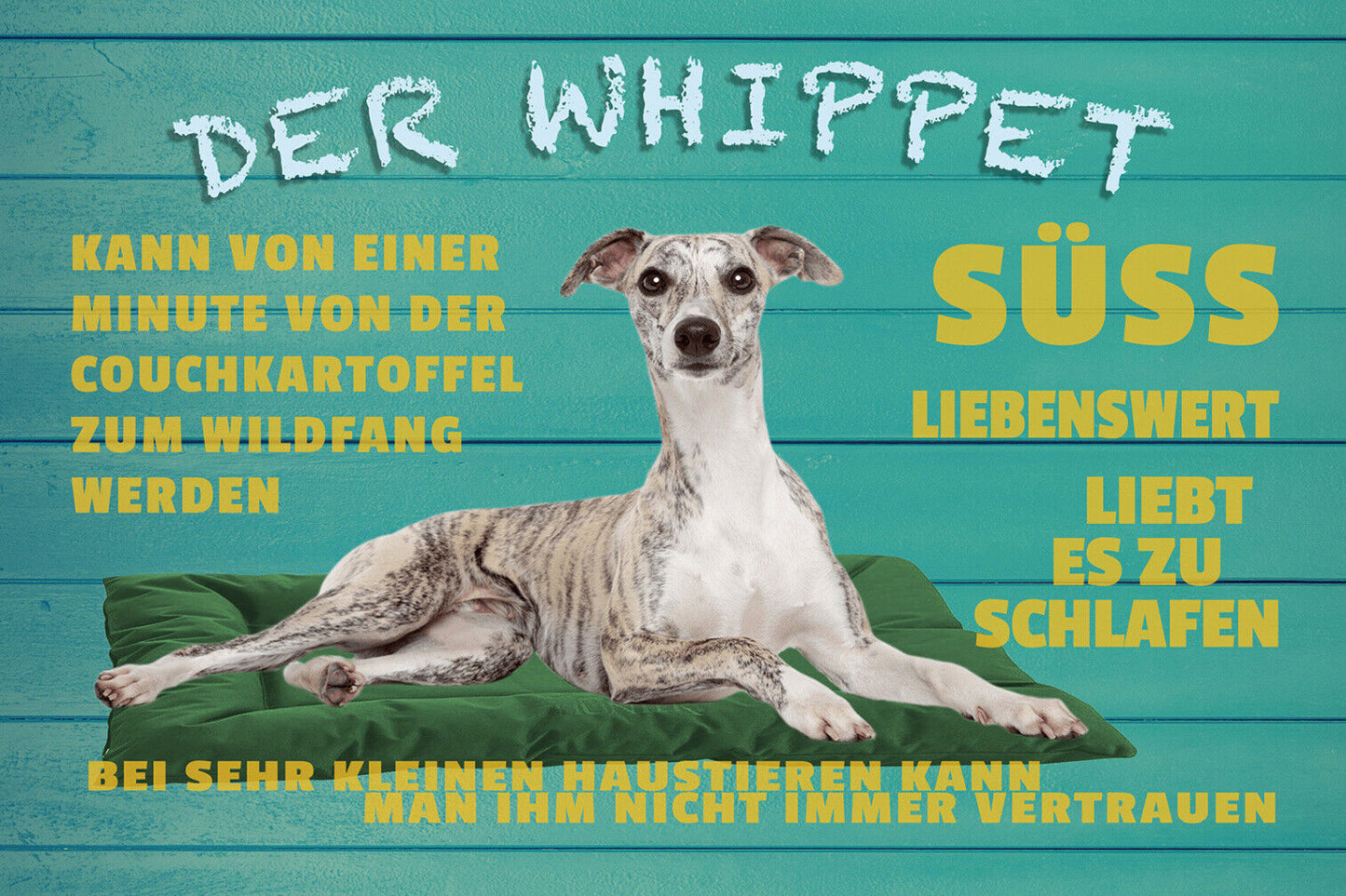 Schild Spruch Der Whippet kann von einer Minute von der Couchkartoffel Hund JW