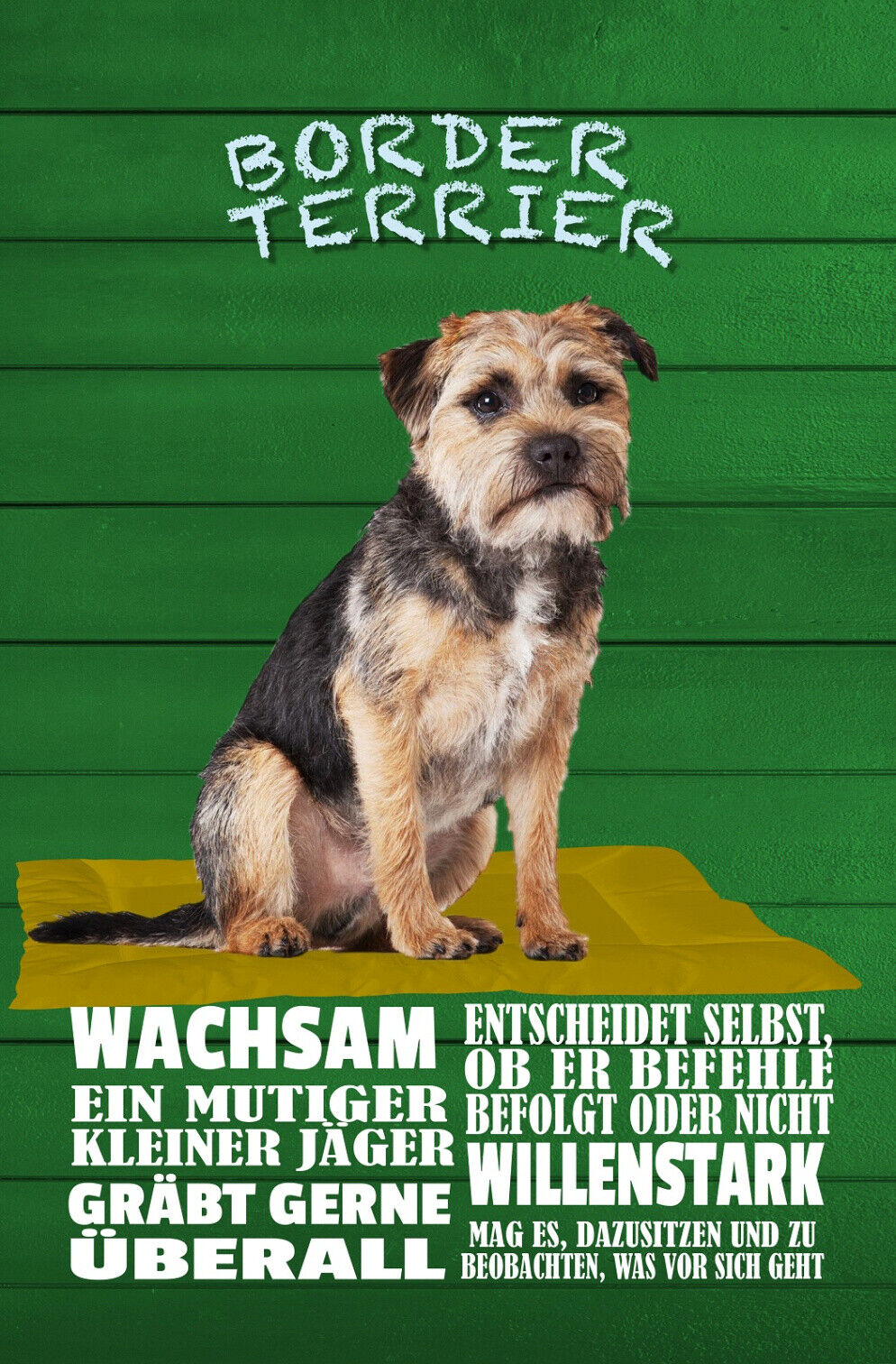 Schild Spruch Border Terrier Steckbrief Wachsam Willensstark Mutig Hung JW