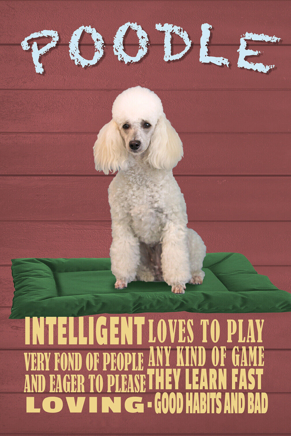 Schild Spruch Poodle Pudel Steckbrief Intelligent Loves to Play Hund JW