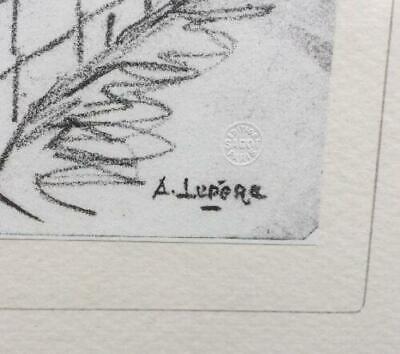 Auguste Lepere Fontenay le Comte Lito 1912 gerahmt 46.5 X 35.5 cm 14540