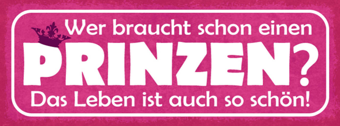 Schild Wer Braucht Schon Einen Prinzen Das Leben Ist Auch So Schön Liebe 27x10