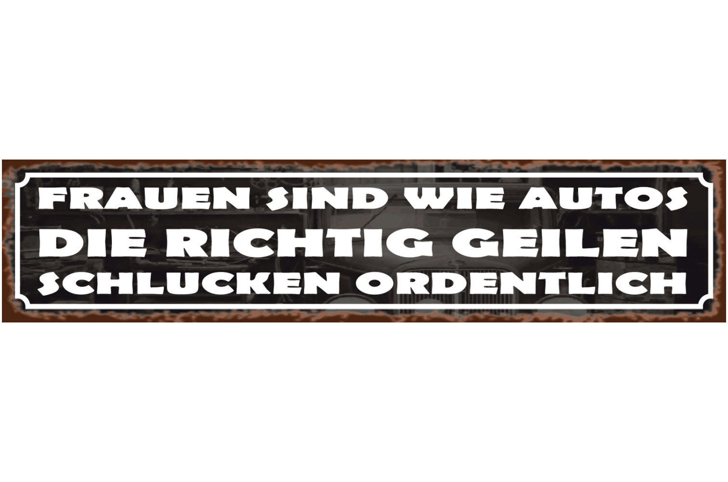 Schild Frauen Wie Autos Sexistisch Vergleich Mann Benzin 46 x 10 Blech od. Holz