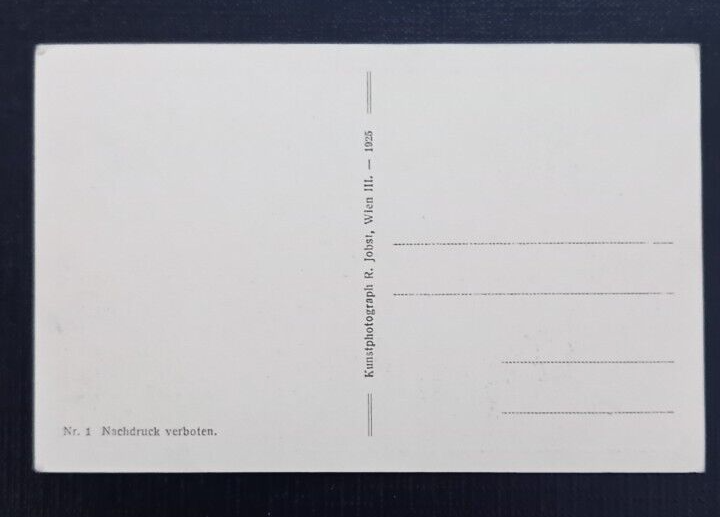 Salzburg Mattsee Ludwigshöhe Frau mit Buch 600243A gr