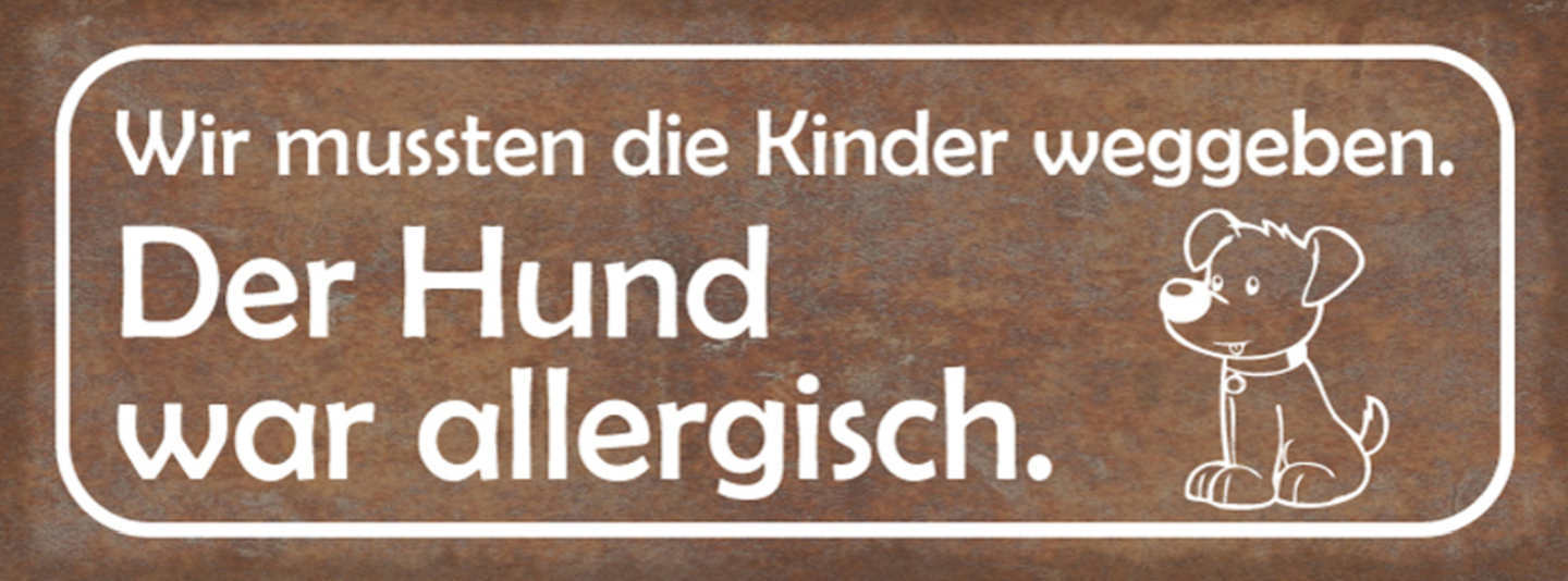 Schild Wir Mussten Das Kind Weggeben Der Hund War Allergisch 27x10 Blech od.Holz