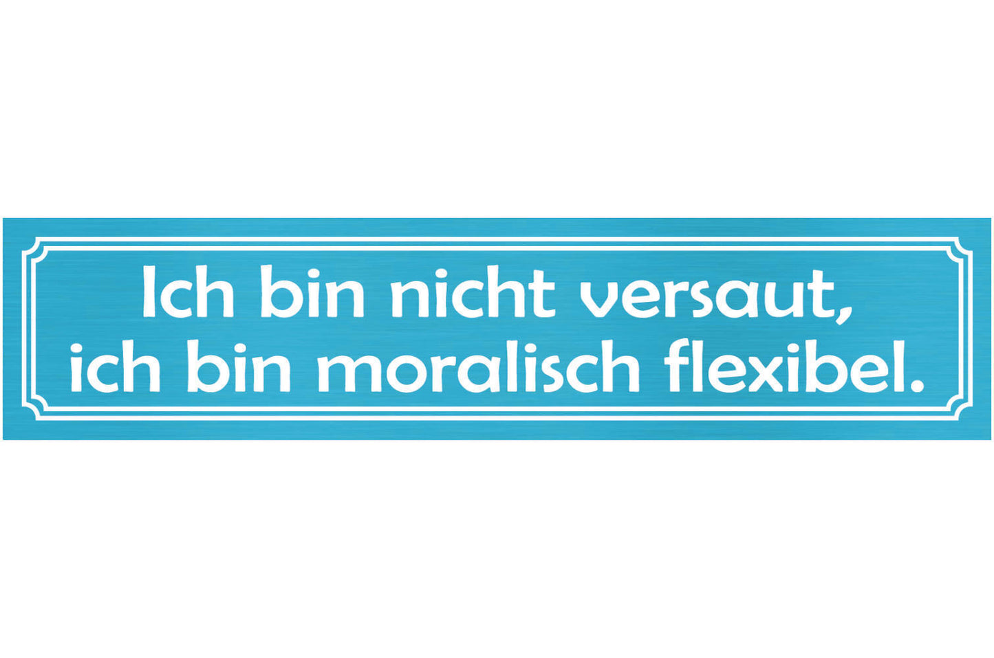 Schild Nicht Versaut Moral Unmoralisch Dreckig Schweinisch 46 x 10 Blech od.Holz