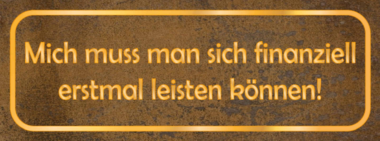 Schild Mich Muss Man Sich Finanziell Erstmal Leisten Können 27x10 Blech od.Holz
