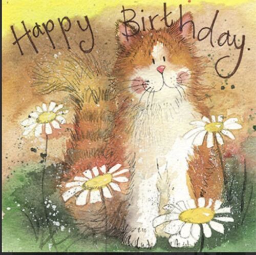 Alex Clark Katze Cat and Daisies Grußkarte 140x140 mm incl. Umschlag 0004