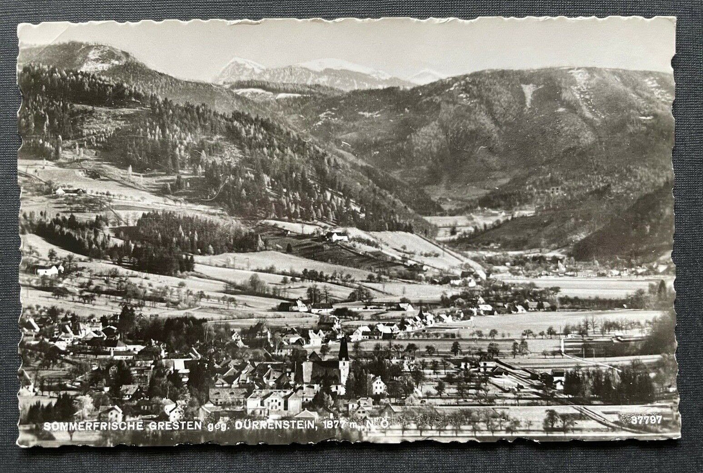 Sommerfrische Gresten gg.Dürrenstein Ort Gebirge Berg Niederösterreich 402667 C
