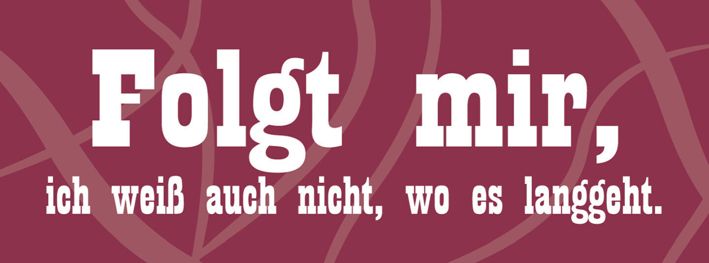 Schild Folgt Mir Ich Weiss Auch Nicht Wo Es Langgeht 27 x 10 Blech od. Holz