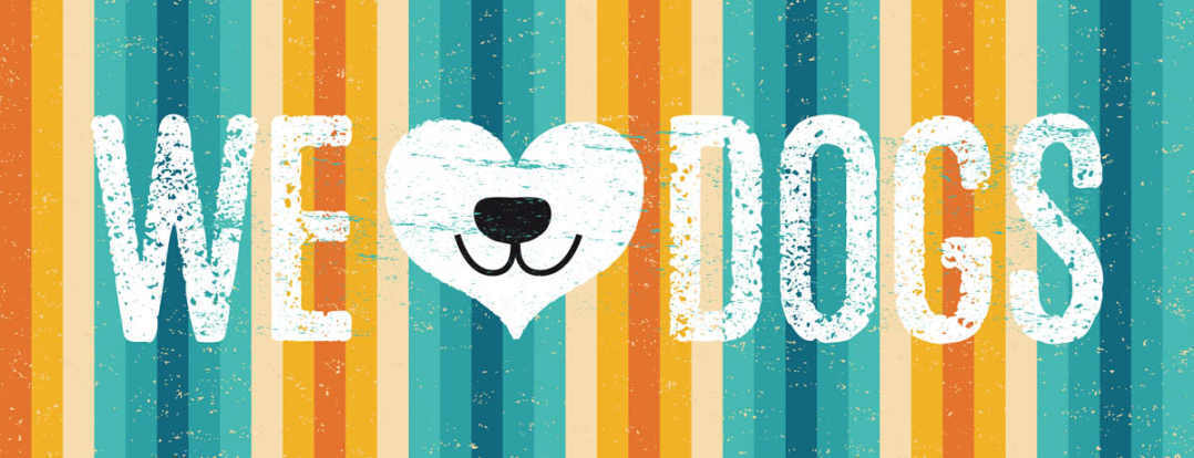 Schild We ❤️ Dogs Wir Lieben Hunde Liebe Hund Haus Tier 27x10 Blech od.Holz
