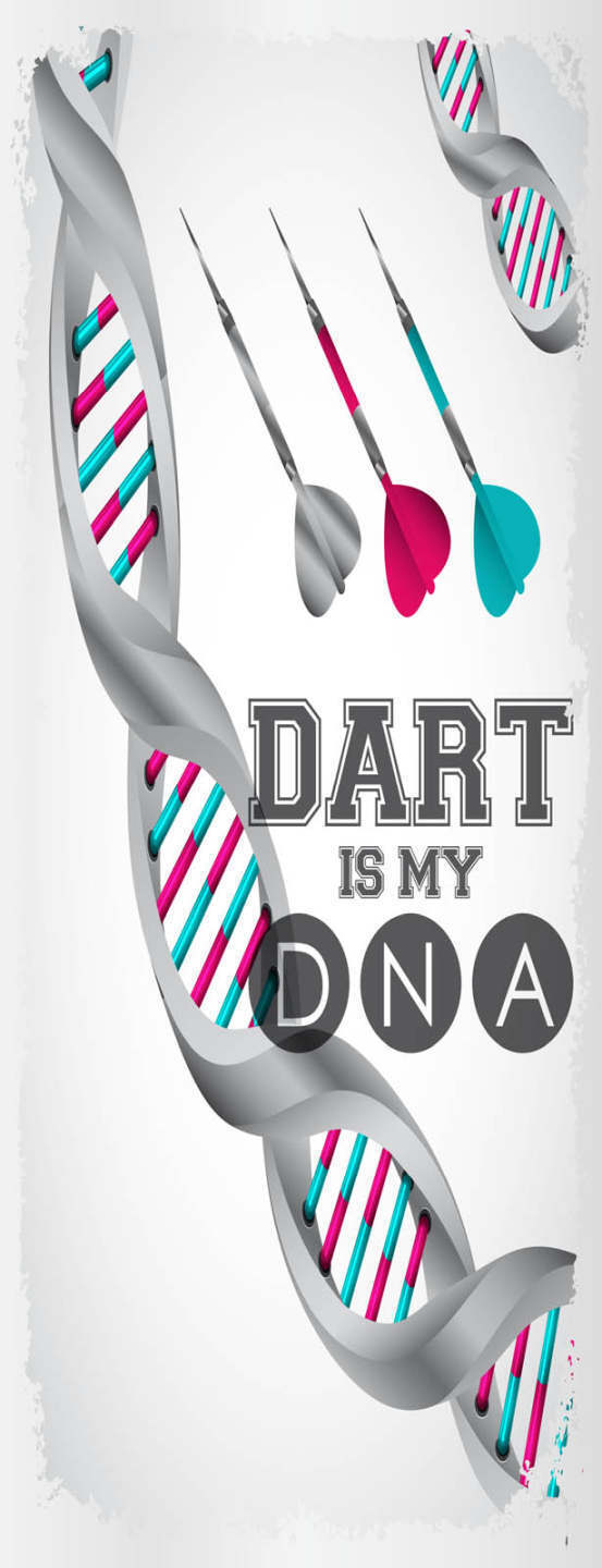 Schild Dart Is My DNA Darts Darten Pfeil Spiel Scheibe 27x10 Blech od.Holz