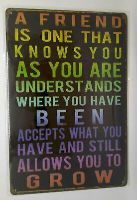 Nostalgie Retro Blechschild Spruch Freundschaft Friends 30x20 50183