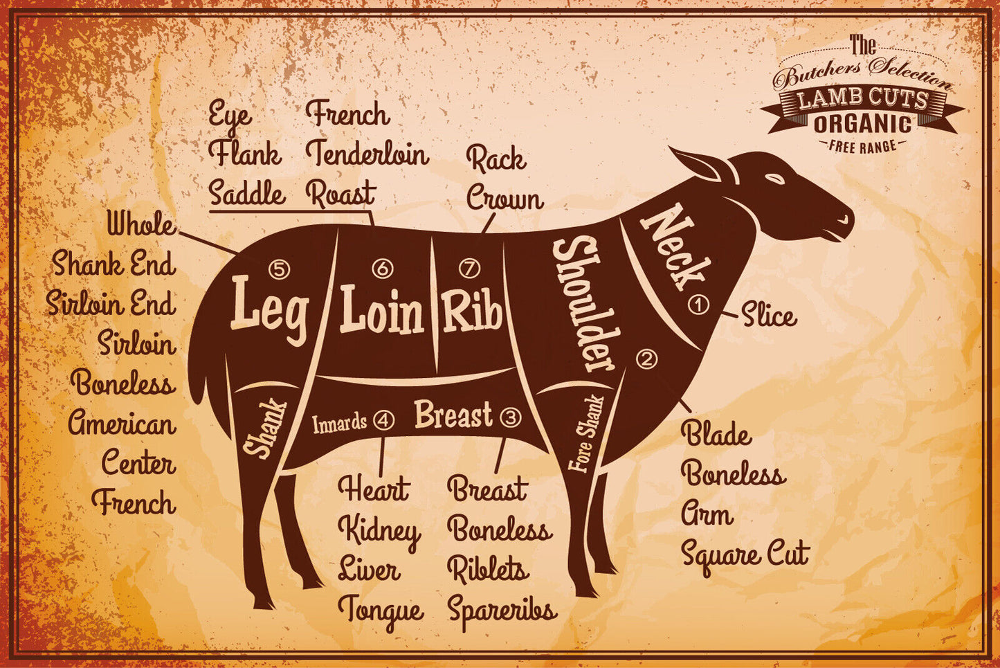 Nostalgie Schild Lamb Cuts Lamm Diagramm 12x18 / 20x30 / 30x40 Blech od. Holz