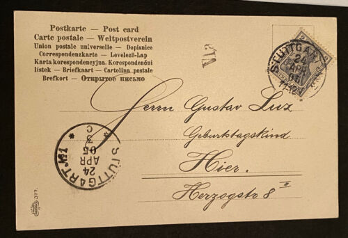 Künstlerkarte Nadelzweig Botanik um 1905 Briefmarkensprache 80252