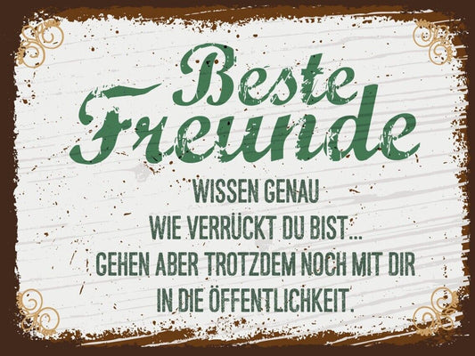Schild Beste Freunde Wissen Wie Verrückt Du Bist 12x18 20x30 30x40 Blech/Holz