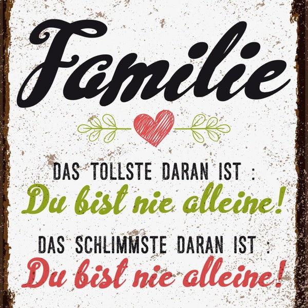 Schild Familie Tollste Daran Du Bist Nie Alleine 12x18 20x30 30x40 Blech/Holz LP