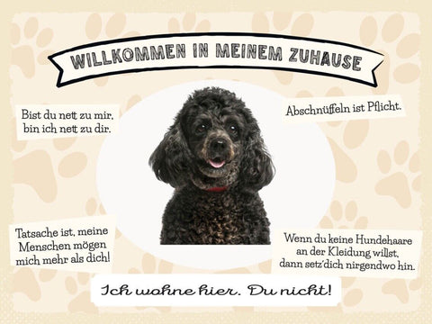 Schild Willkommen In Meinem Zuhause Pudel Hund Tier 12x18 20x30 30x40 Blech/Holz