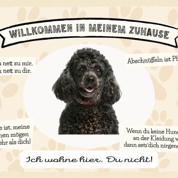 Schild Willkommen In Meinem Zuhause Pudel Hund Tier 12x18 20x30 30x40 Blech/Holz