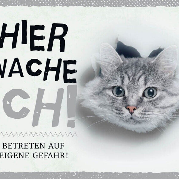 Schild Hier Wache Ich Getigerte Katze Gefahr Tier 12x18 20x30 30x40 Blech/Holz