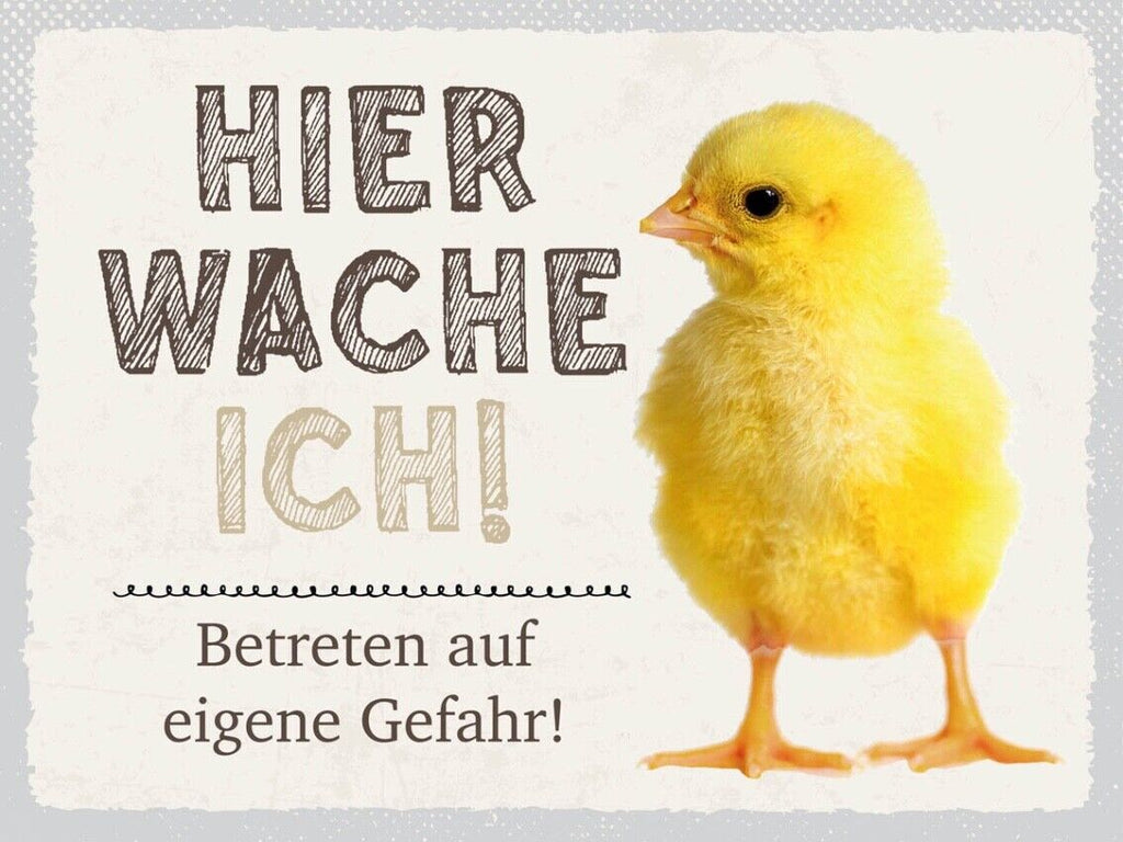 Schild Hier Wache Ich Küken Eigene Gefahr Huhn Tier 12x18 20x30 30x40 Blech/Holz