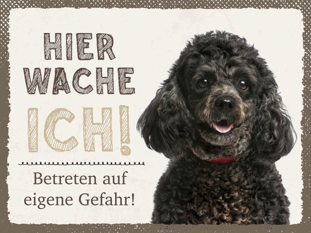Schild Hier Wache Ich Pudel Gefahr Hund Haus Tier 12x18 20x30 30x40 Blech/Holz
