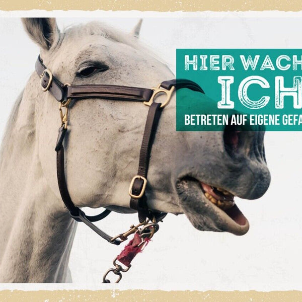 Schild Hier Wache Ich Pferd Schimmel Gefahr Tier 12x18 20x30 30x40 Blech/Holz