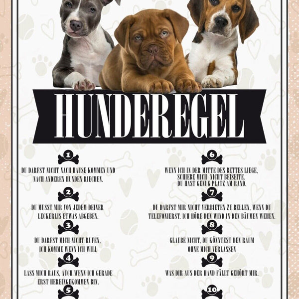 Schild Hunderegel Hund Haus Tier Liebe Zuhause 12x18 20x30 30x40 Blech/Holz