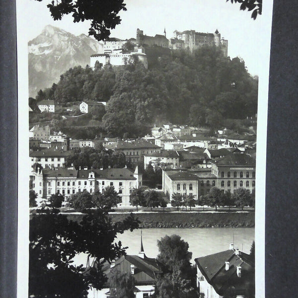 Salzburg Stadtansicht Hohensalzburg Berge Salzach Zweige JW 753214
