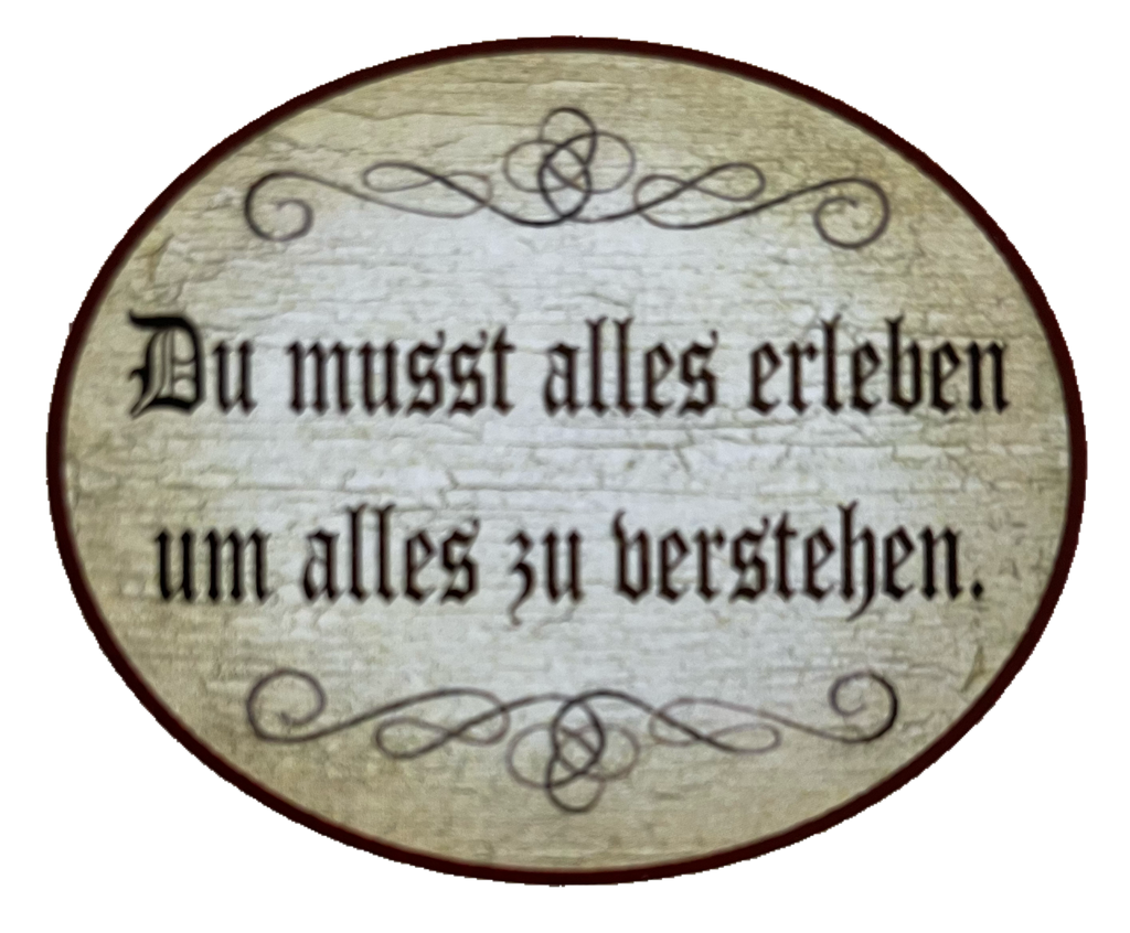Nostalgie Holzschild Du Musst Alles Erleben Um Alles Zu Verstehen Schild