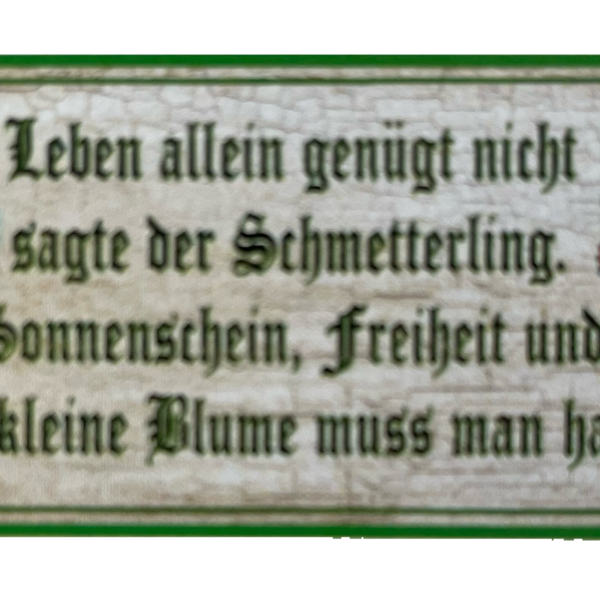 Nostalgie Holzschild Leben Allein Genügt Nicht Schmetterling Sonnenschein Schild