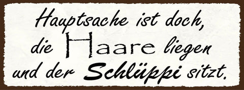 Schild hauptsache ist doch die haare liegen & der schlüppi sitzt schlüpfer 27x10