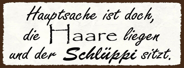 Schild hauptsache ist doch die haare liegen & der schlüppi sitzt schlüpfer 27x10