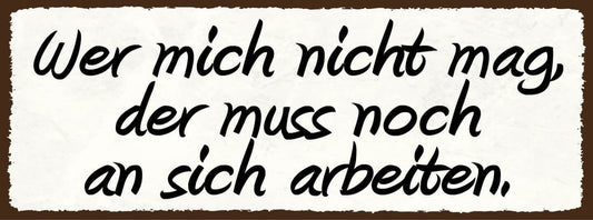 Schild wer mich nicht mag der muss noch an sich arbeiten 27x10 blech od.holz