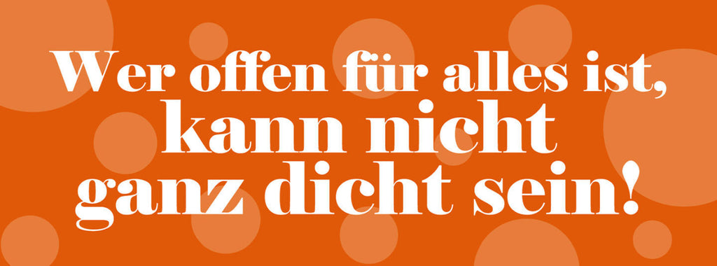 Schild Wer Offen Für Alles Ist Kann Nicht Ganz Dicht Sein 27 x 10 Blech od. Holz