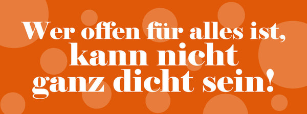 Schild Wer Offen Für Alles Ist Kann Nicht Ganz Dicht Sein 27 x 10 Blech od. Holz