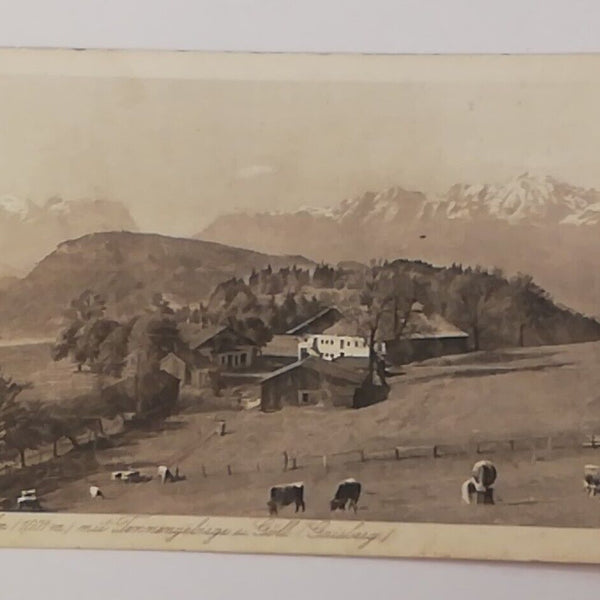 Salzburg Gaisberg Zistelalm Tennengebirge Göll Berge Kühe Bauernhof 600293A tl