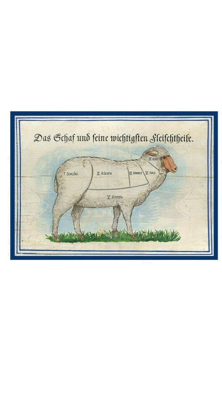 Kuk nostalgie holzschild "das schaf und seine fleischteile"