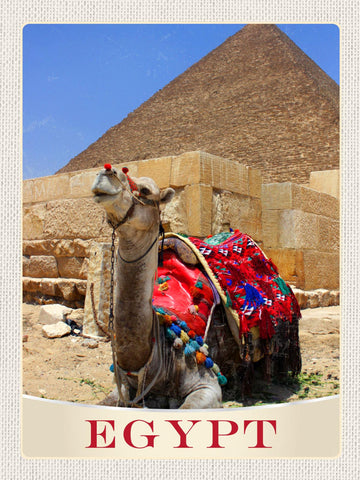 Schild Egypt Ägypten Kamel Cheops Pyramide Afrika 12x18 20x30 30x40 Blech/Holz