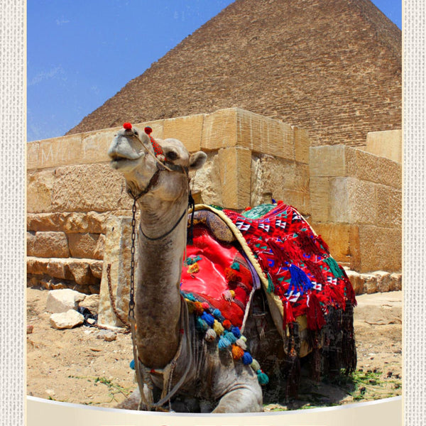 Schild Egypt Ägypten Kamel Cheops Pyramide Afrika 12x18 20x30 30x40 Blech/Holz