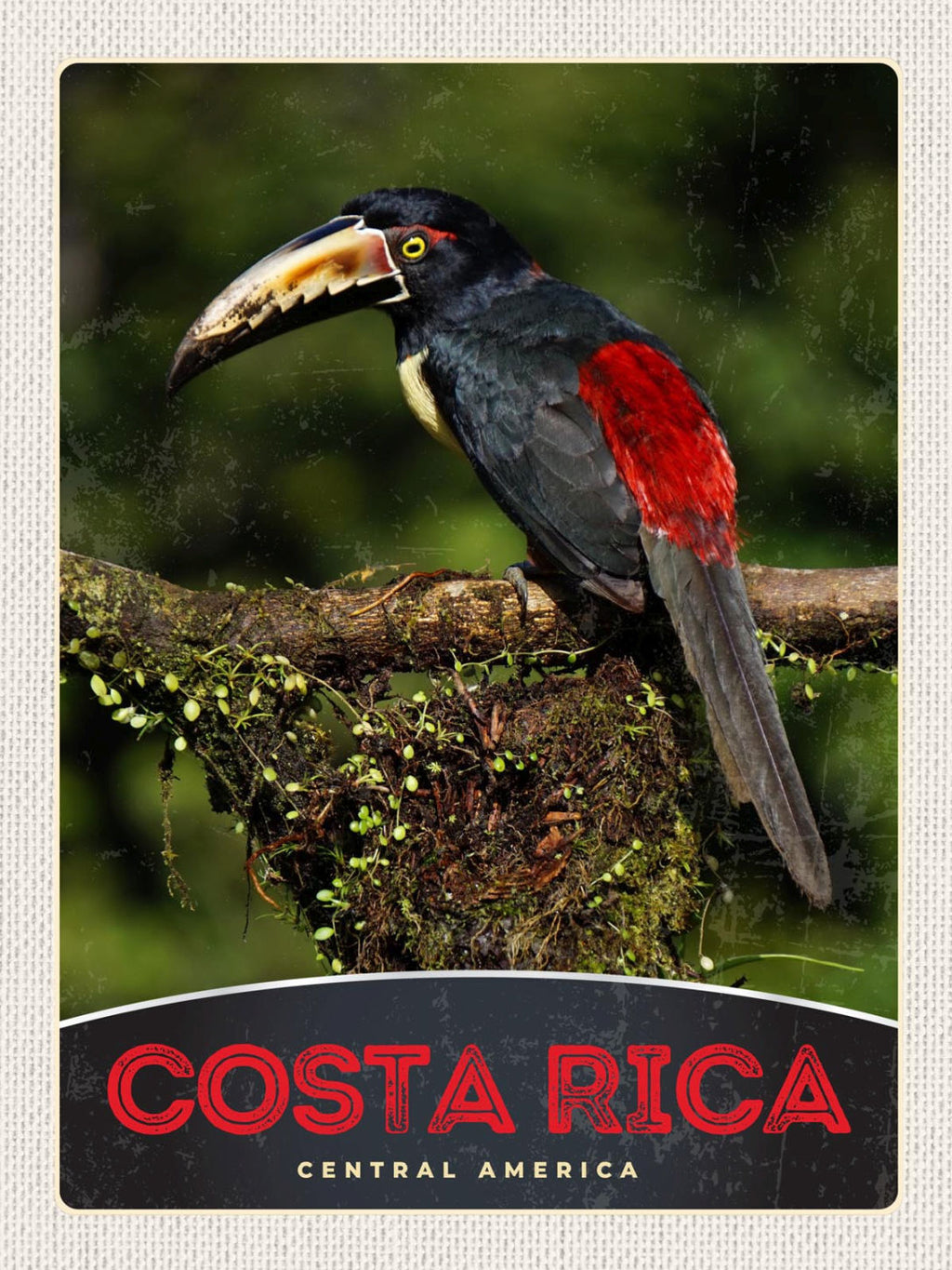 Schild Costa Rica Central Zentral America Vogel 12x18 20x30 30x40 Blech/Holz