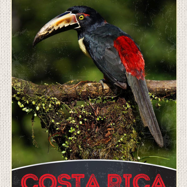 Schild Costa Rica Central Zentral America Vogel 12x18 20x30 30x40 Blech/Holz