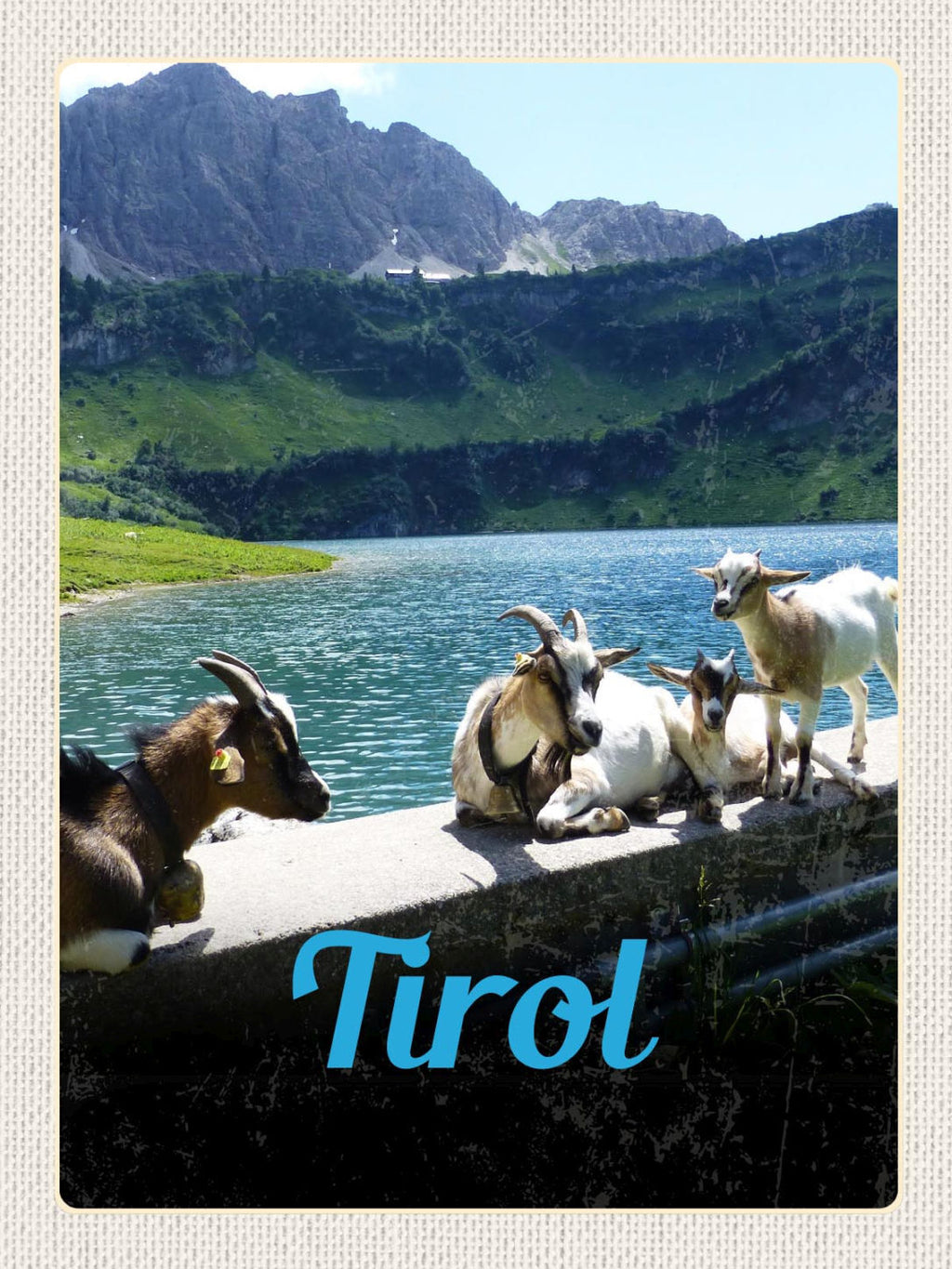 Schild Tirol Landschaft Geißbock Ziegen Österreich 12x18 20x30 30x40 Blech/Holz