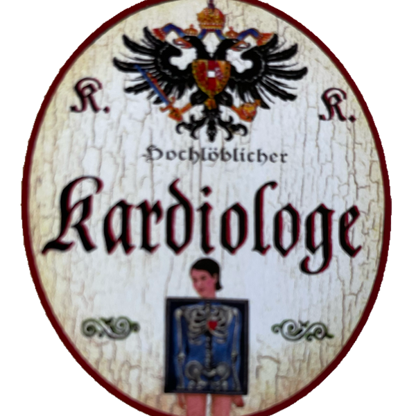 KuK Nostalgie Holzschild Hochlöblicher Kardiologe Facharzt Herz-Kreislauf Schild