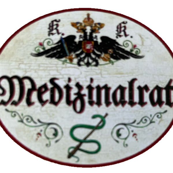 KuK Nostalgie Holzschild Medizinalrat Medizin Titel Ehrentitel Beamter Schild