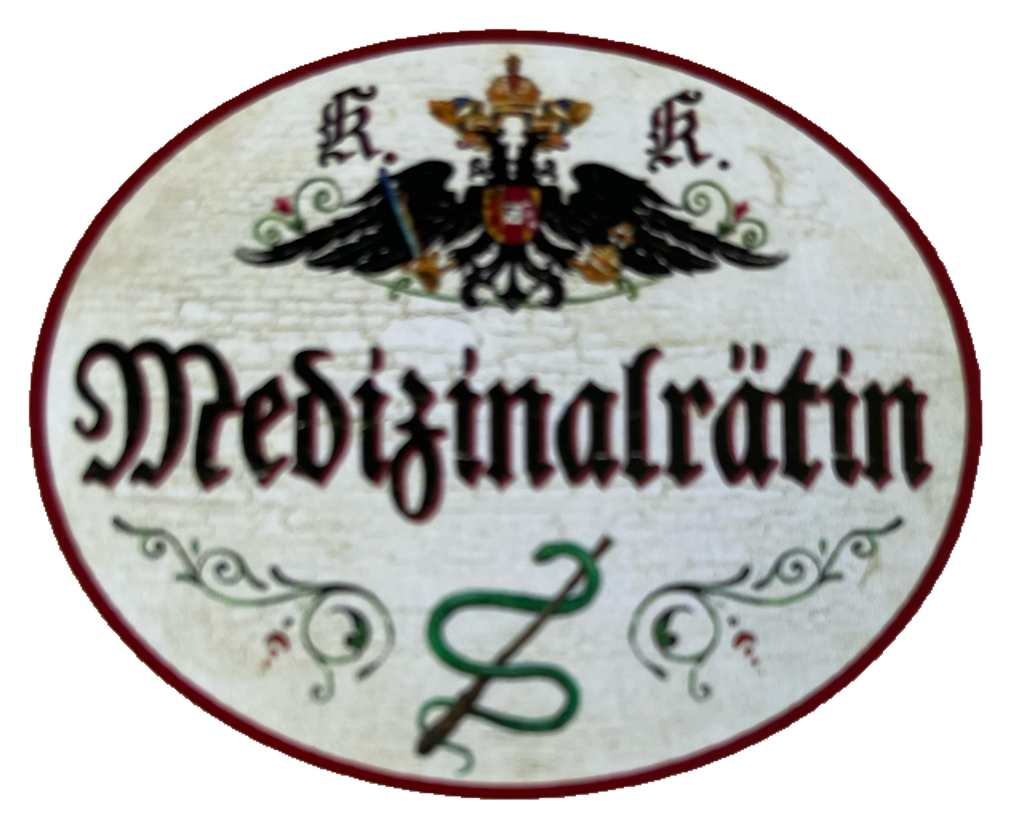 KuK Nostalgie Holzschild Medizinalrätin Medizin Titel Ehrentitel Beamter Schild