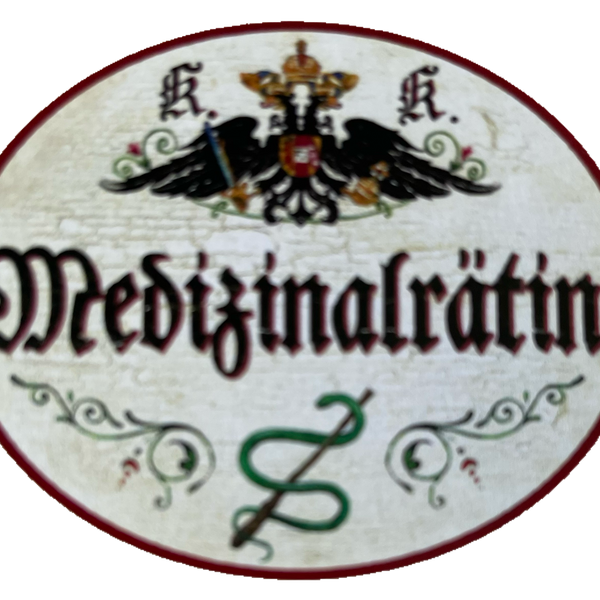 KuK Nostalgie Holzschild Medizinalrätin Medizin Titel Ehrentitel Beamter Schild